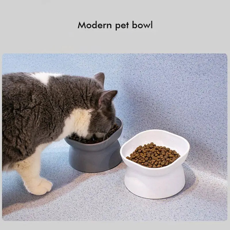 Pet Dog Food Water Bowl - PuppiHome