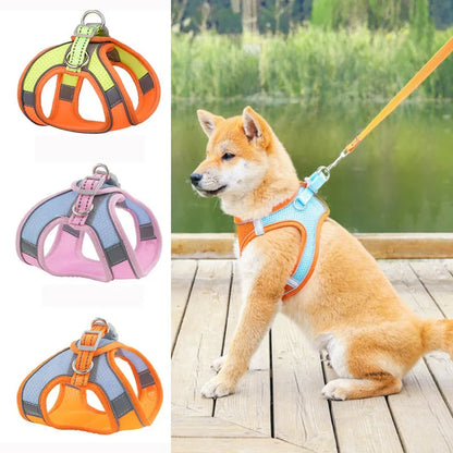 Pet Dog Harnesses Vest Reflective Harness Set - PuppiHome