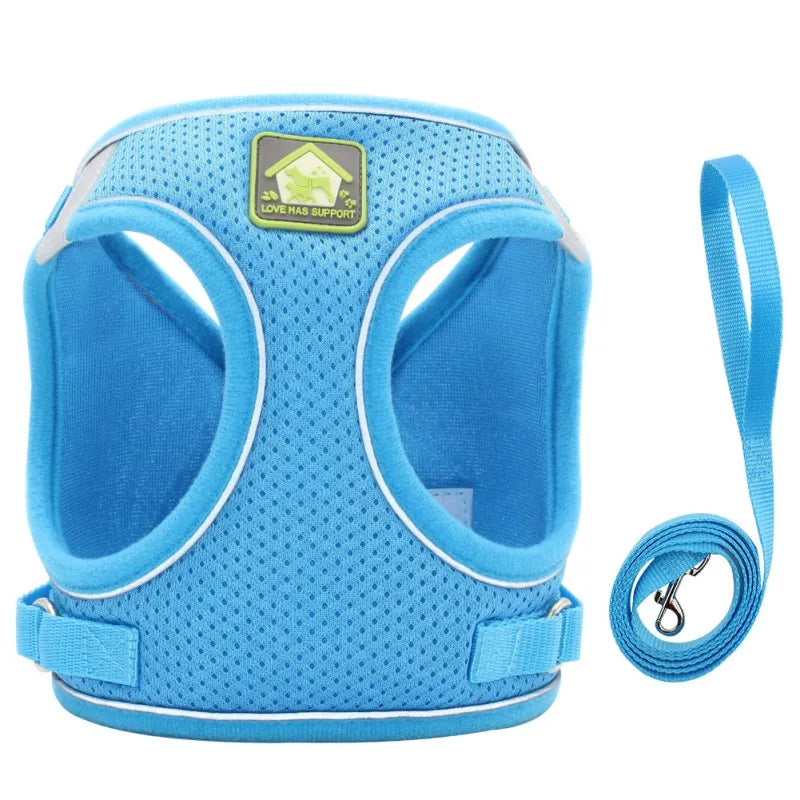 Pet Dog Harness with Leash Set - PuppiHome