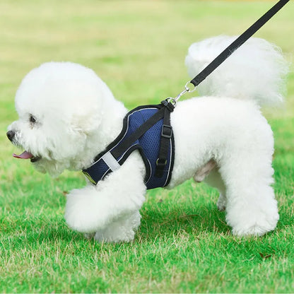 Pet Dog Harness with Leash Set - PuppiHome