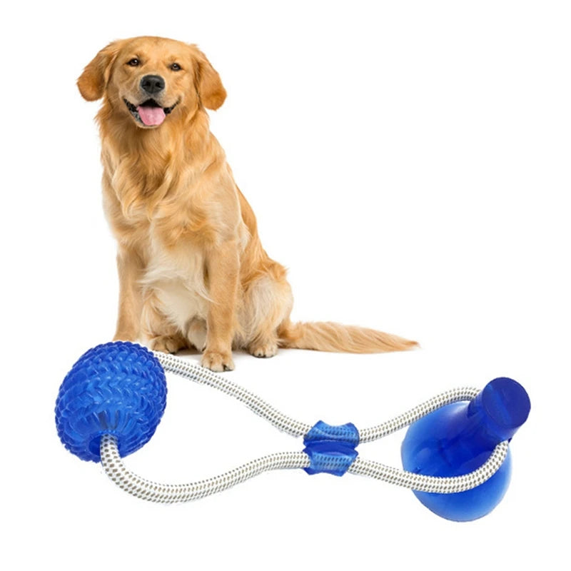 Pet Dog Puppy Suction Cup Push Ball Toy - PuppiHome