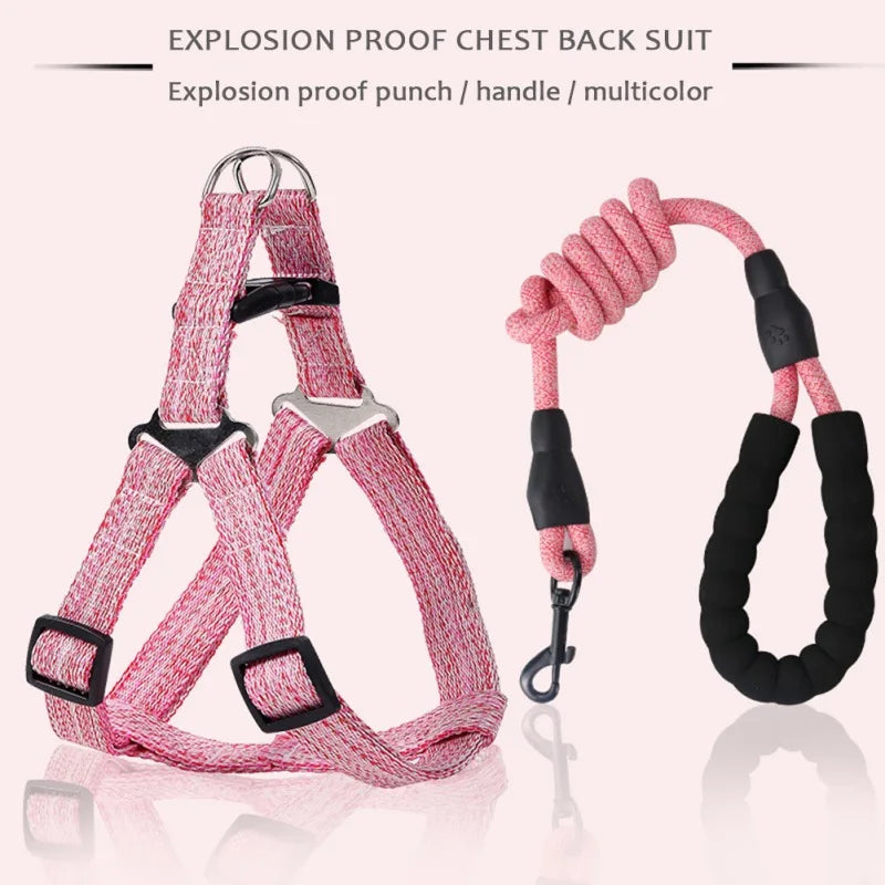 Pet Dog Harness No Pull Adjustable Leash - PuppiHome