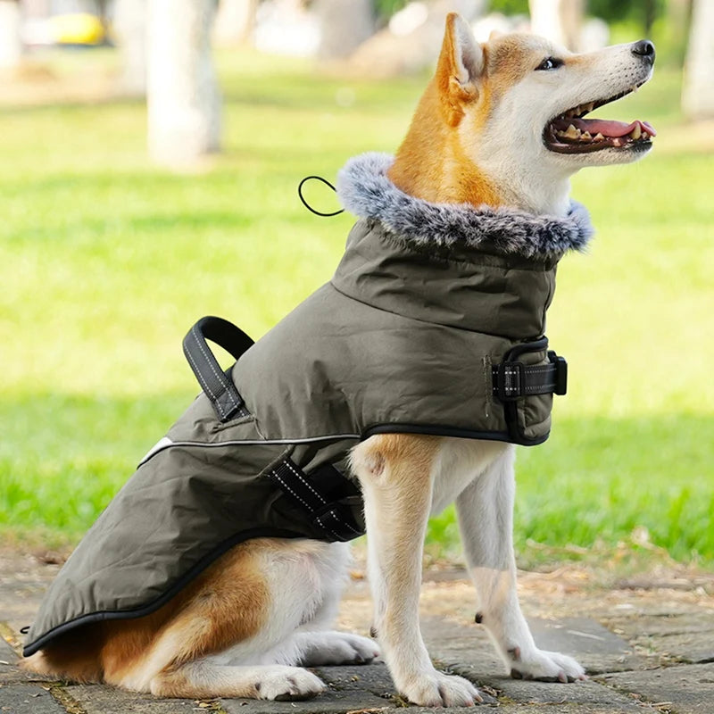 Waterproof Large Pet Dog Clothes with Furry Collar - PuppiHome